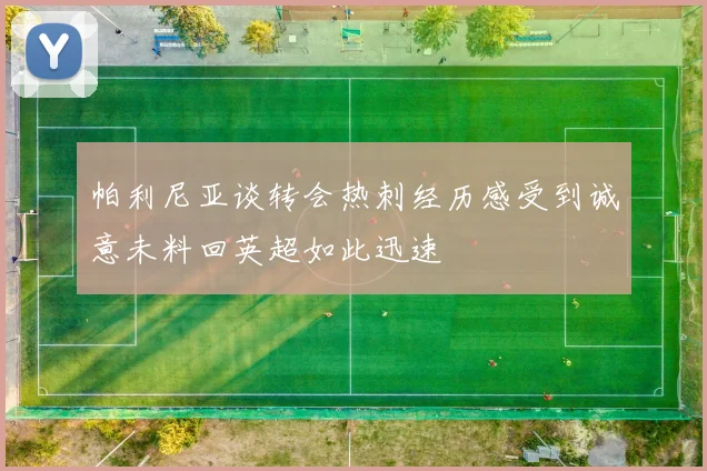 帕利尼亚谈转会热刺经历感受到诚意未料回英超如此迅速